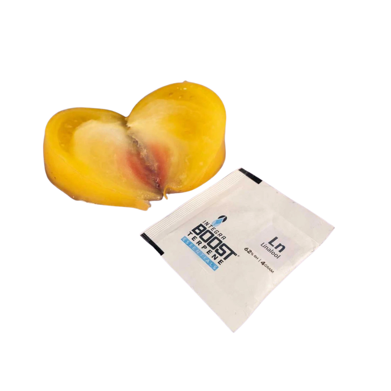 Integra Boost Terpene Pack 62% – 4 g