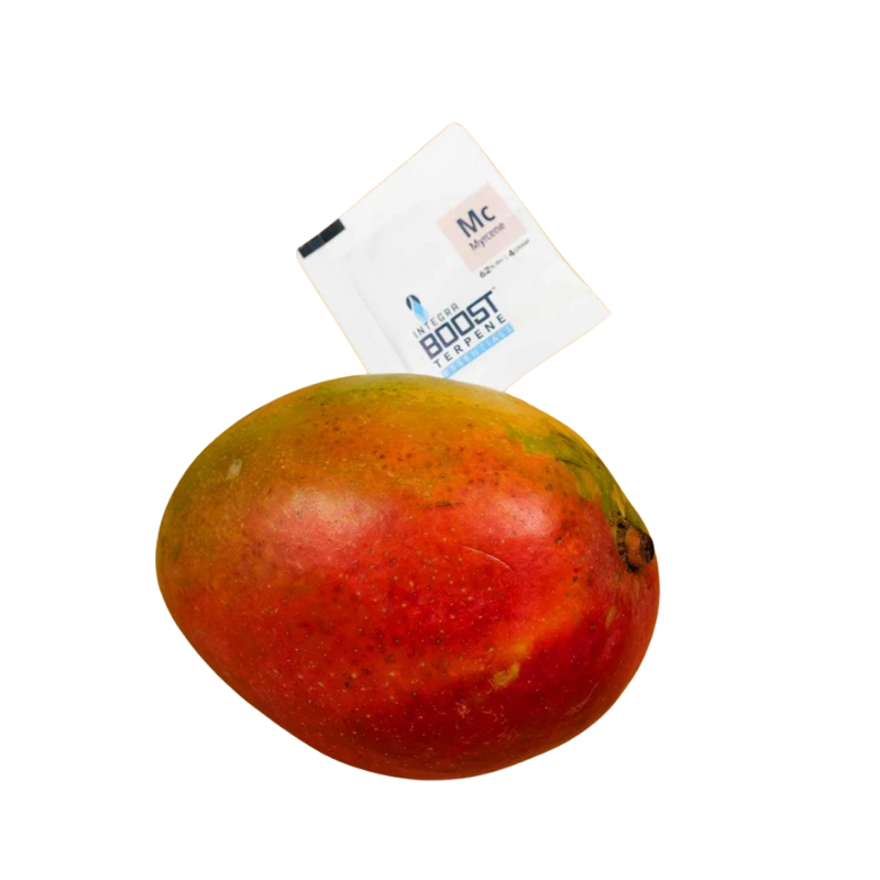 Integra Boost Terpene Pack 62% – 4 g
