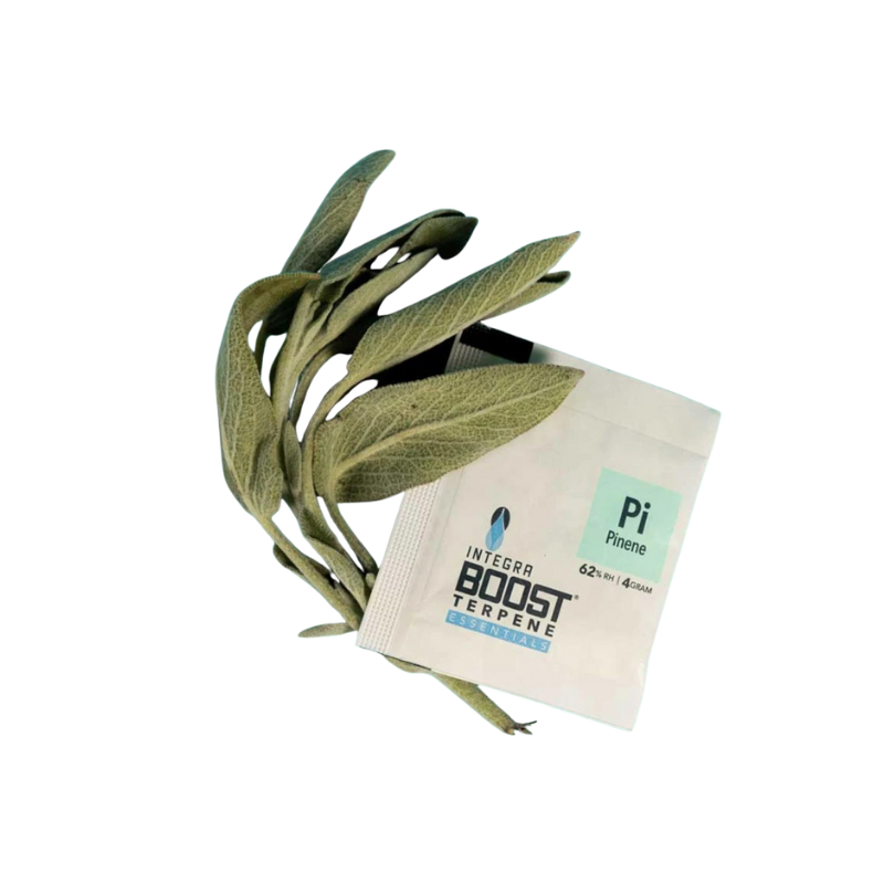 Integra Boost Terpene Pack 62% – 4 g