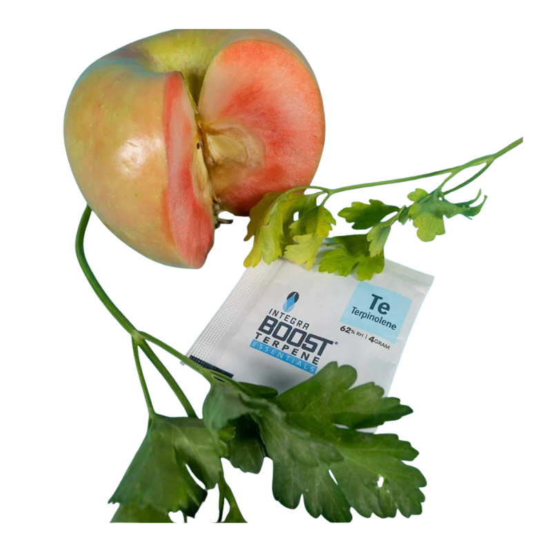 Integra Boost Terpene Pack 62% – 4 g