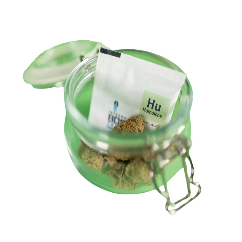 Integra Boost Terpene Pack 62% – 4 g