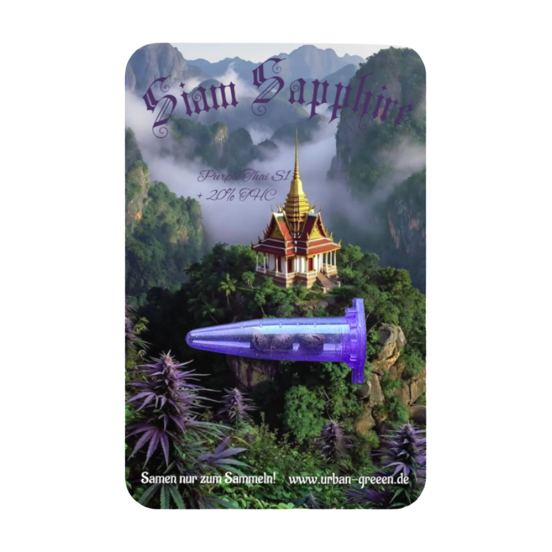 Urban Seeeds - Siam Sapphire aka Purple Thai (S1)